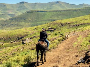 Horseback riding in Eastern Lesotho