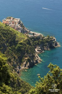 Blue sea with a small village built on a cliff surrounded by vineyards