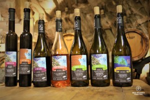 Seven bottles of the Cinque Terre wines crafted at Possa's vineyards taken in a wine cellar.