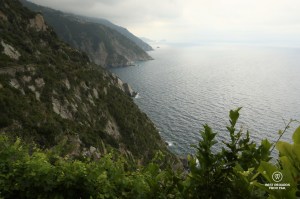 The view from Possa's vineyard in Riomaggiore on the Ligurian Coast, Porto Venere and Cinque Terre!
