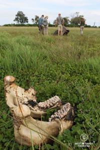 Elephant jaw in the grass with people looking at an elephant carcass in Botswana