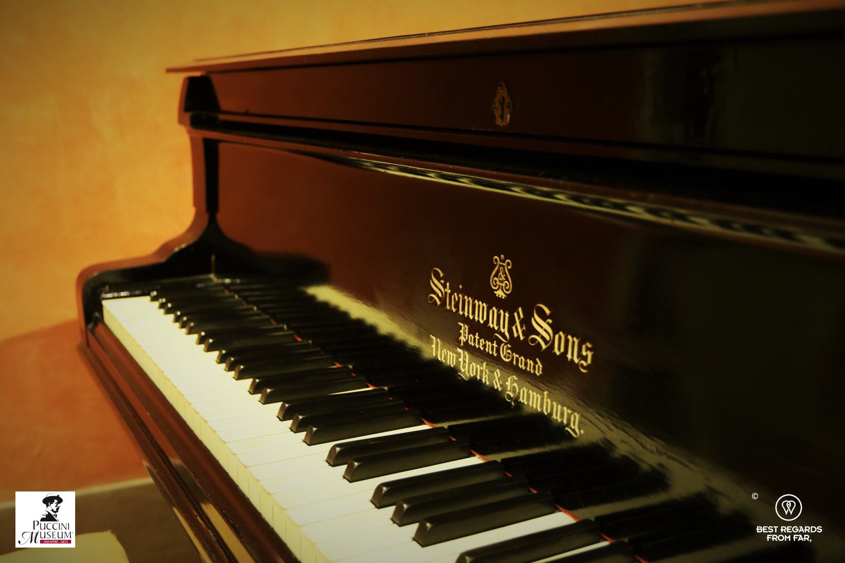 Details of the Steinway piano of Puccini, Puccini birth home museum, Lucca, Italy.
