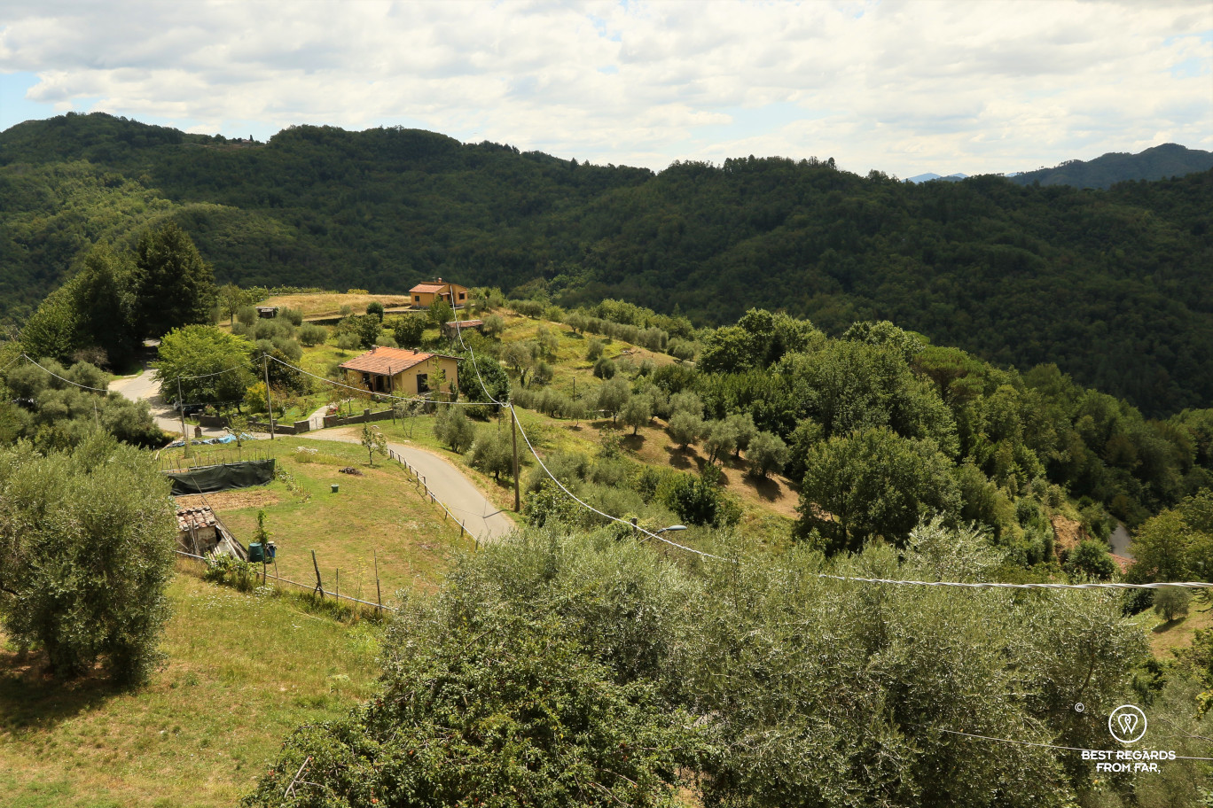 View from the village of Celle dei Puccini, Italy
