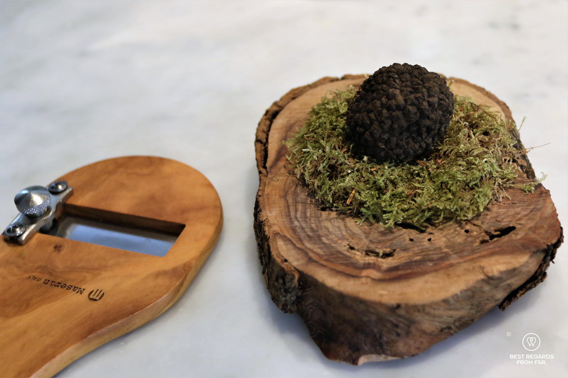 Truffle on green moss on a wooden disk