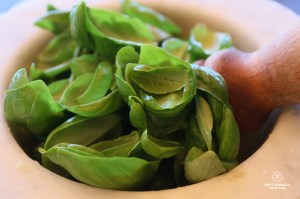 Fresh basil leaves in a Carrara marble mortar with a pestle for pesto making in Italy