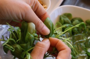 Carefully cutting basil leaves for pesto making in Cinque Terre, Italy