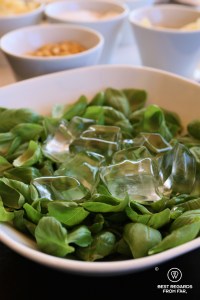 Adding ice cube to basil to slow down the oxydation of the leaves, Nessun Dorma, Manarola, Cinque Terre, Italy