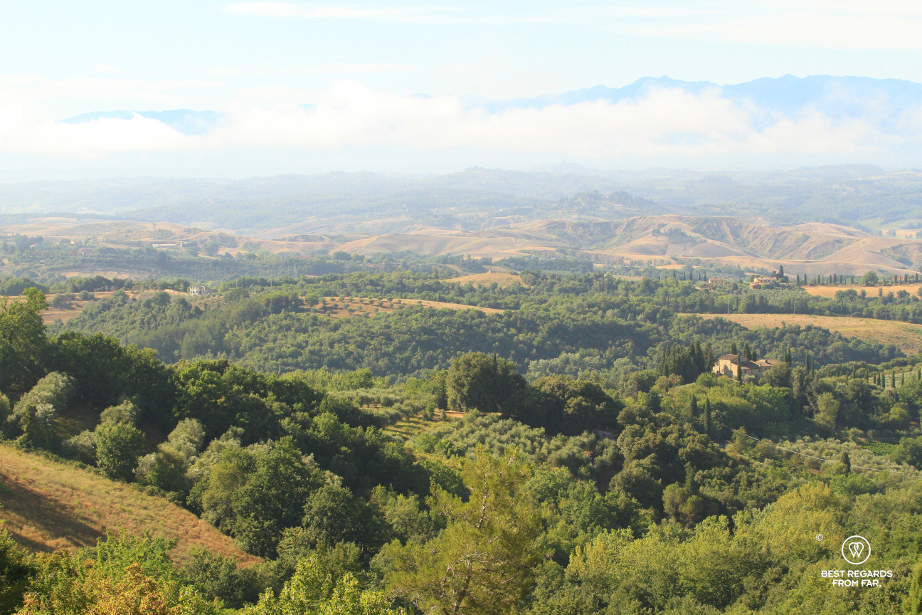Tuscan landscape with olive groves , hills and mountains in the background, Italy