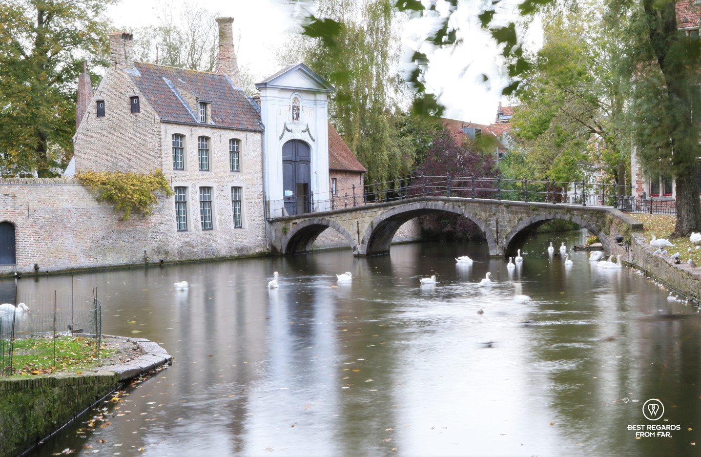 Beguinage with the swans, Bruges, Belgium