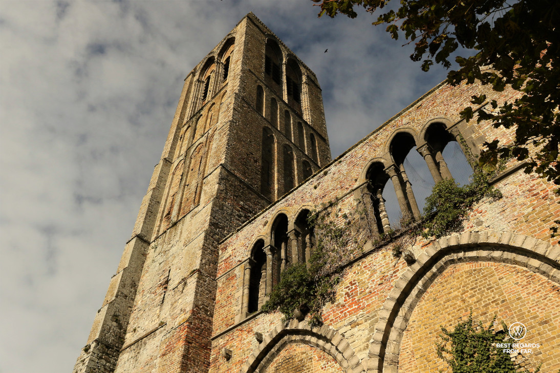 Biking to Damme from Bruges.