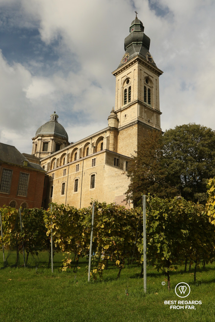 Saint Peter's Abbey with its vineyard, Ghent, Belgium