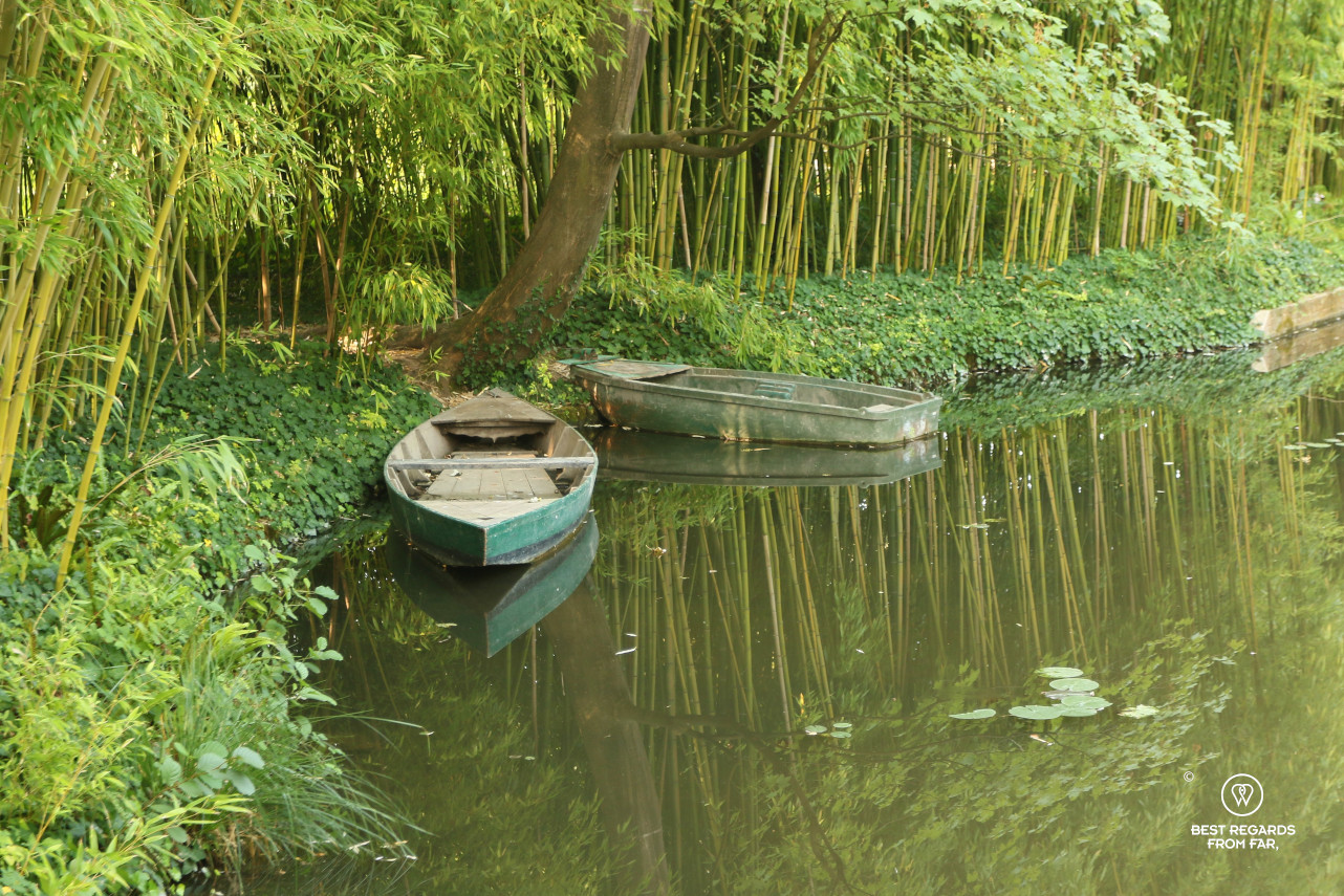 Rown boats on the water lily pond with bamboos in the background in Giverny