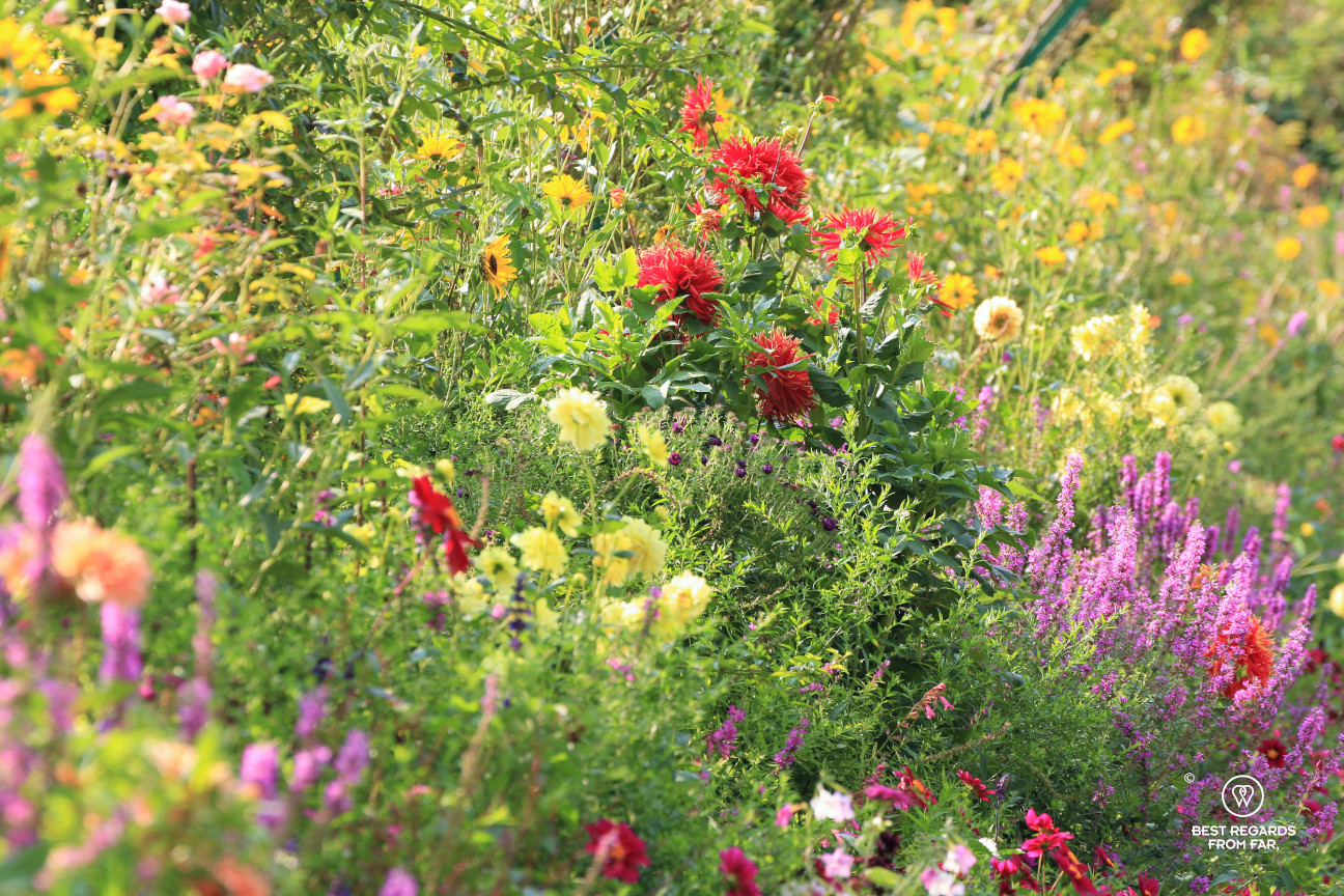 Flowers in Claude Monet's garden in Giverny, France