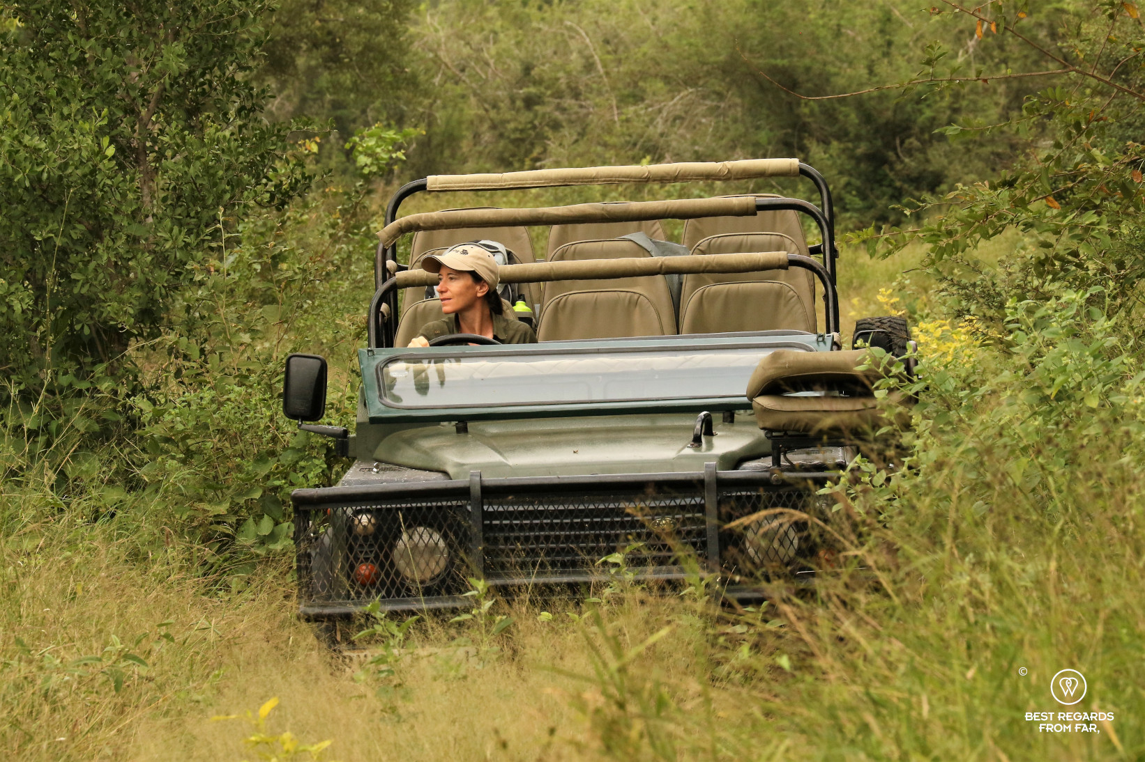 Author Claire Lessiau driving a Land Rover game drive vehicle through the African bush during the EcoTracker training