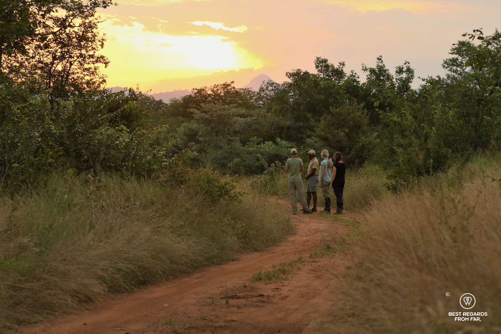 Students admiring a sunset in the African bush