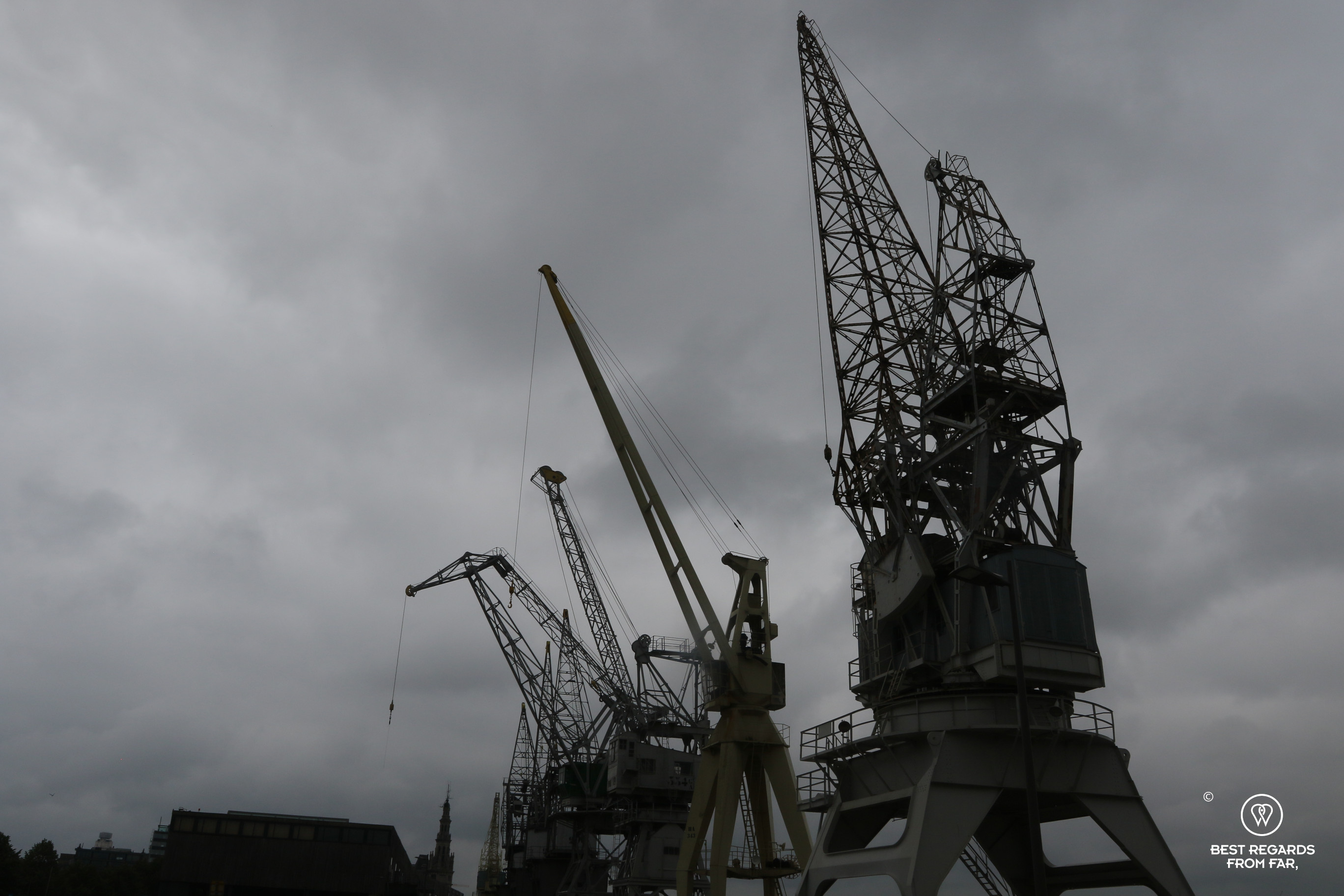 Black and white harbour cranes, Antwerp, Belgium
