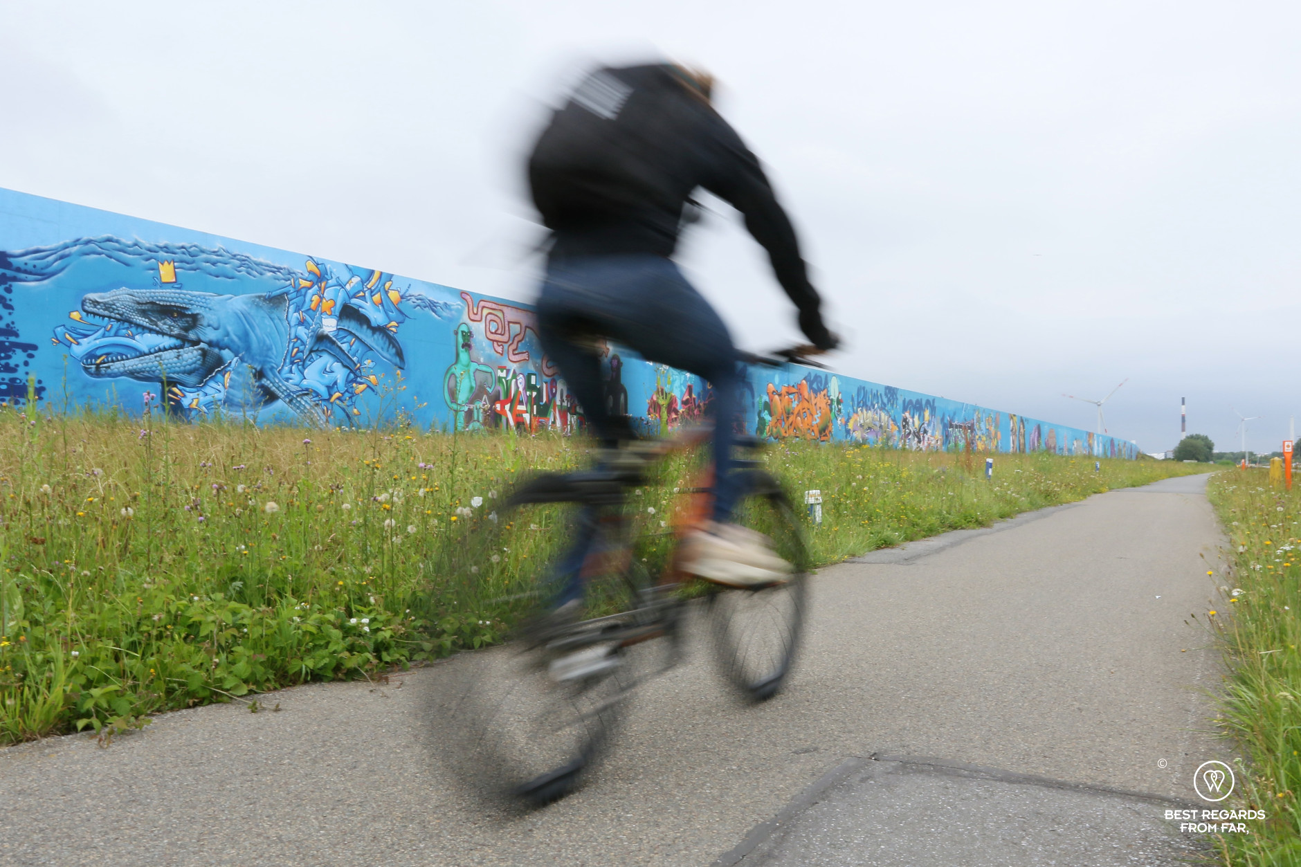 Biker passing fast in front of street art in the industrial harbour of Antwerp, Belgium