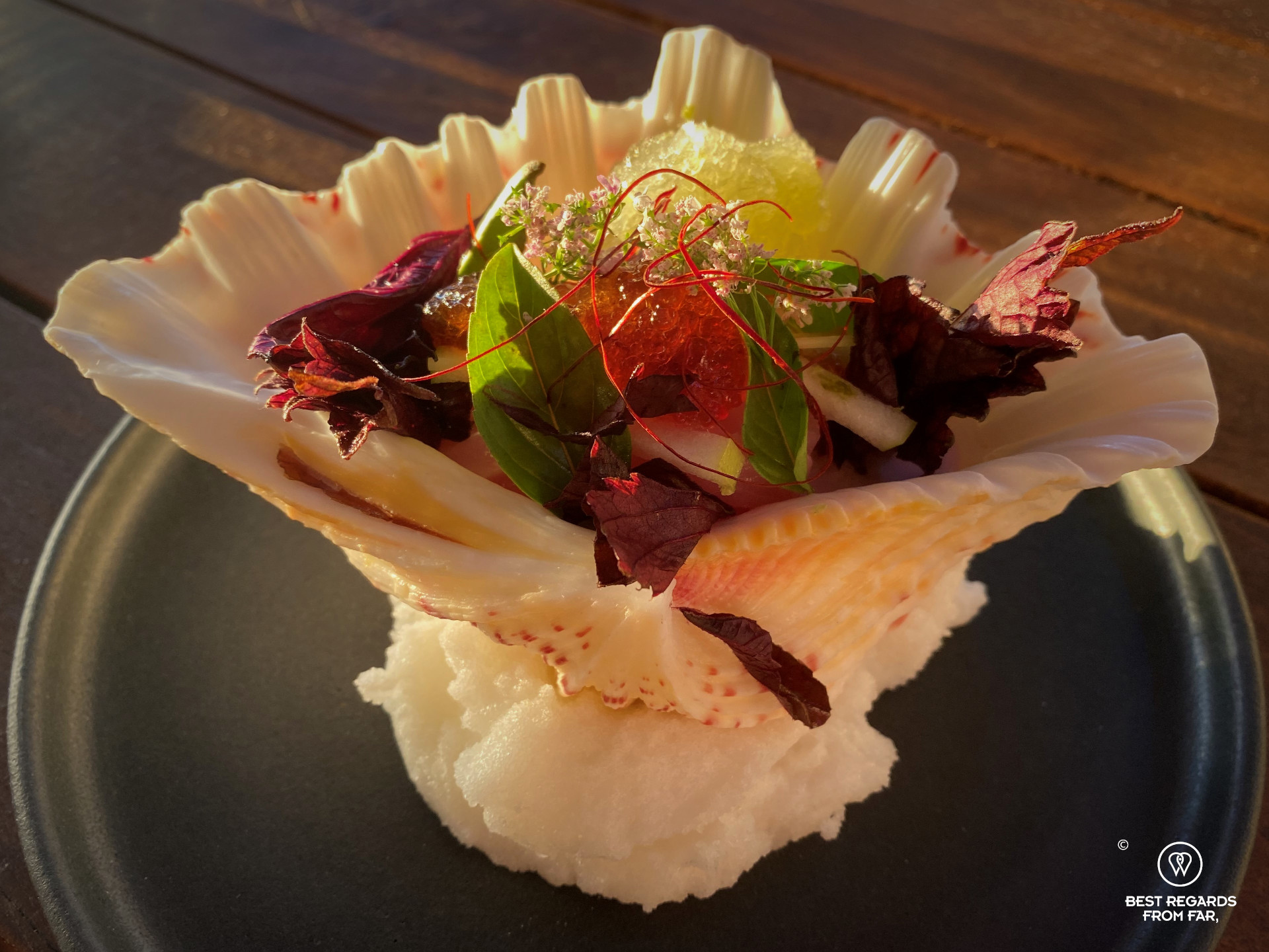 Fine-dining tapas presented in a shell at the Chefs Warehouse Tintswalo Atlantic, Hout Bay