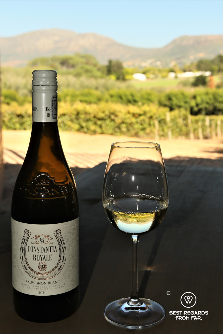 Wine tasting the Sauvignon Blanc at Constantia Royale estate, Constantia wine route, Cape Town