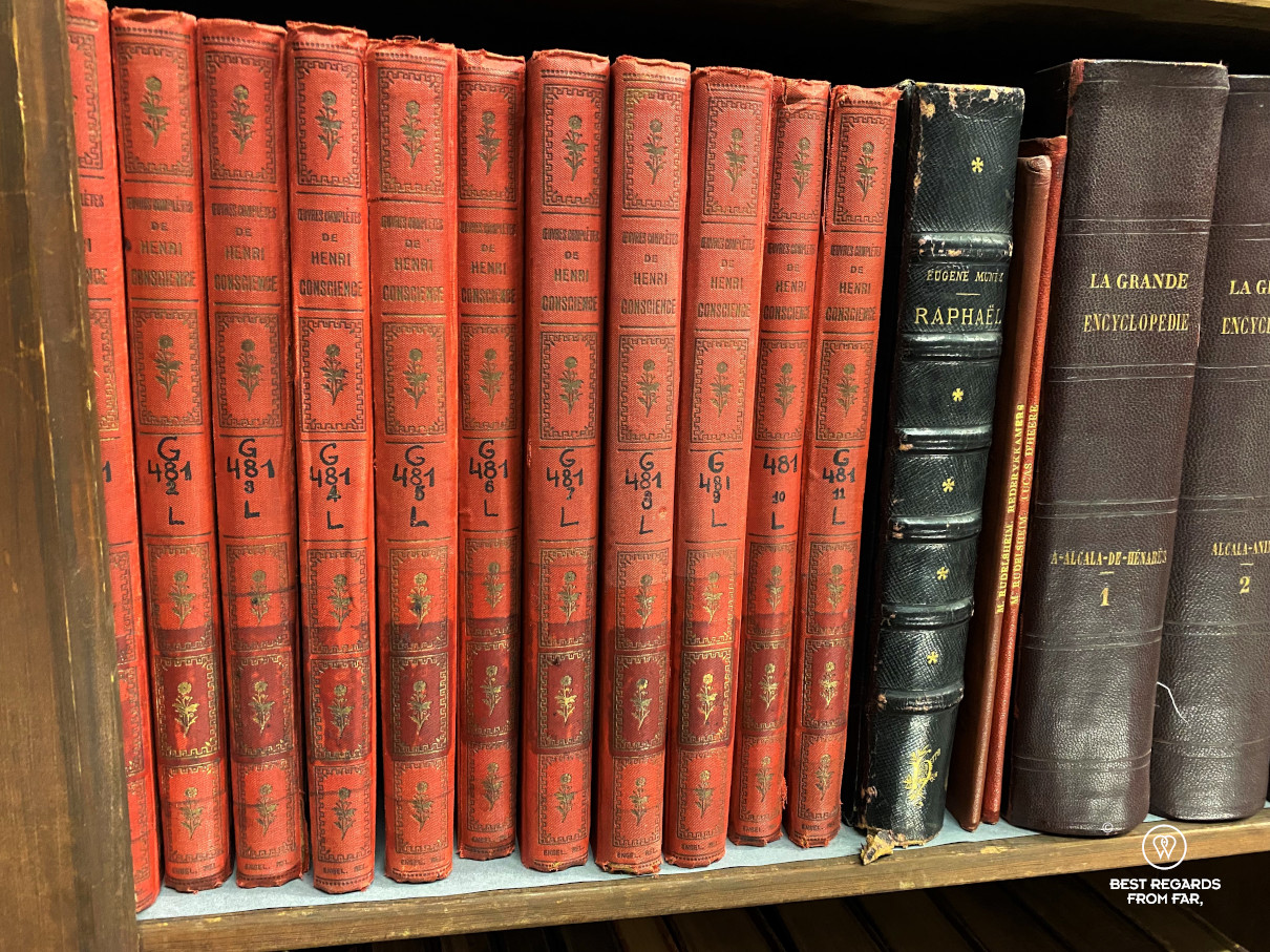 Collection of books by Hendrik Conscience