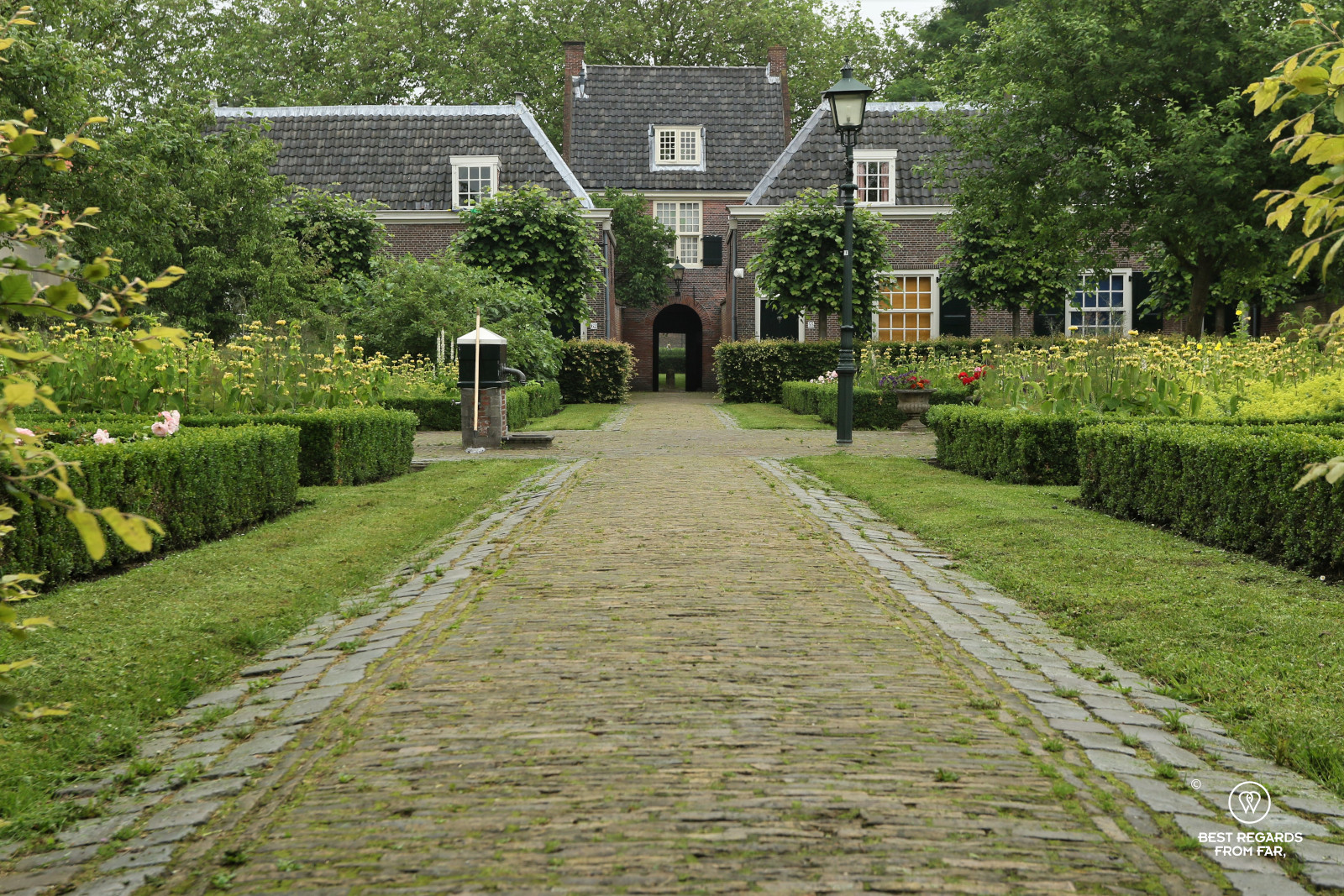 Cute garden of Hofje van Pauw, Delft, The Netherlands