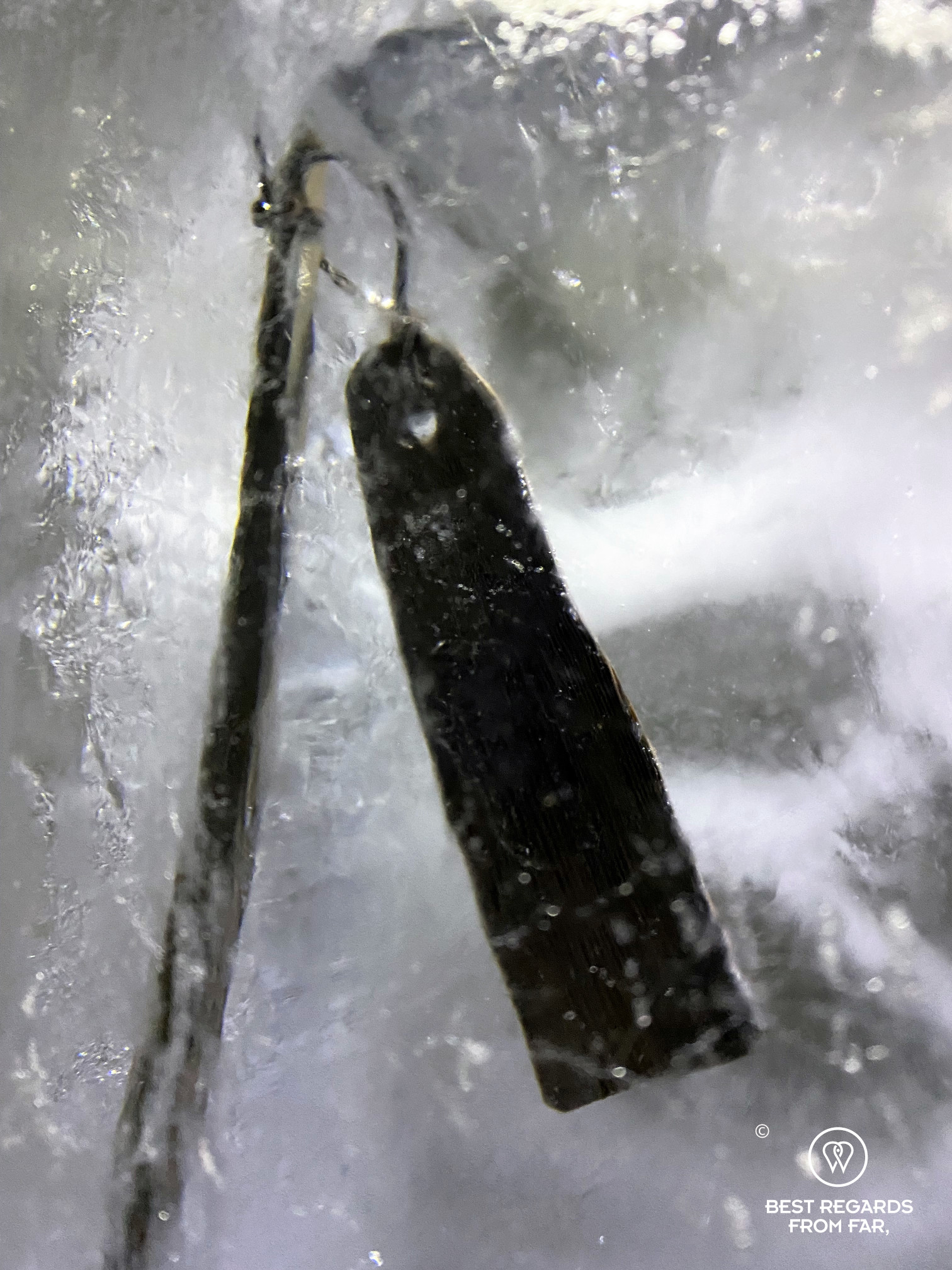 Frozen scaring stick to catch reindeer - Norway