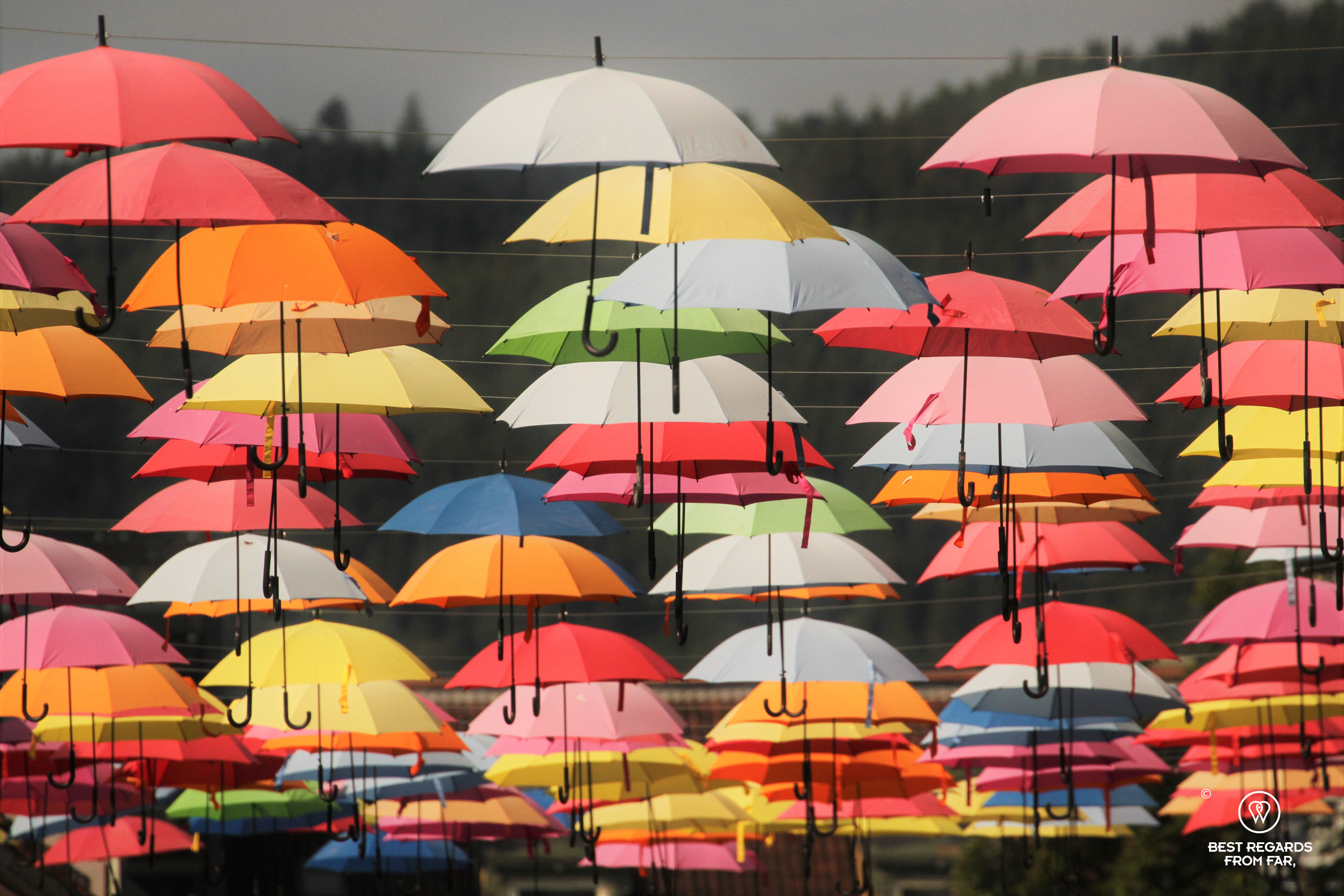 Colourful umbrellas hung in a street of Trondheim