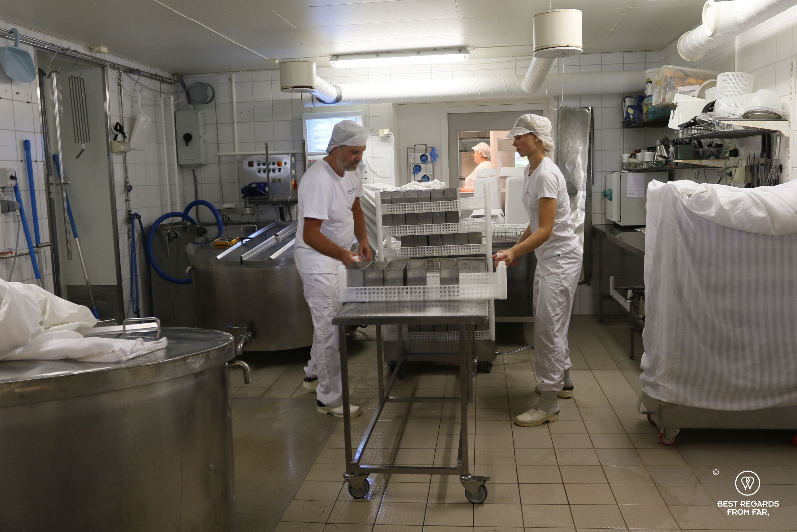 Cheese making at Gangstad Gardsysteri milk farm, Norway