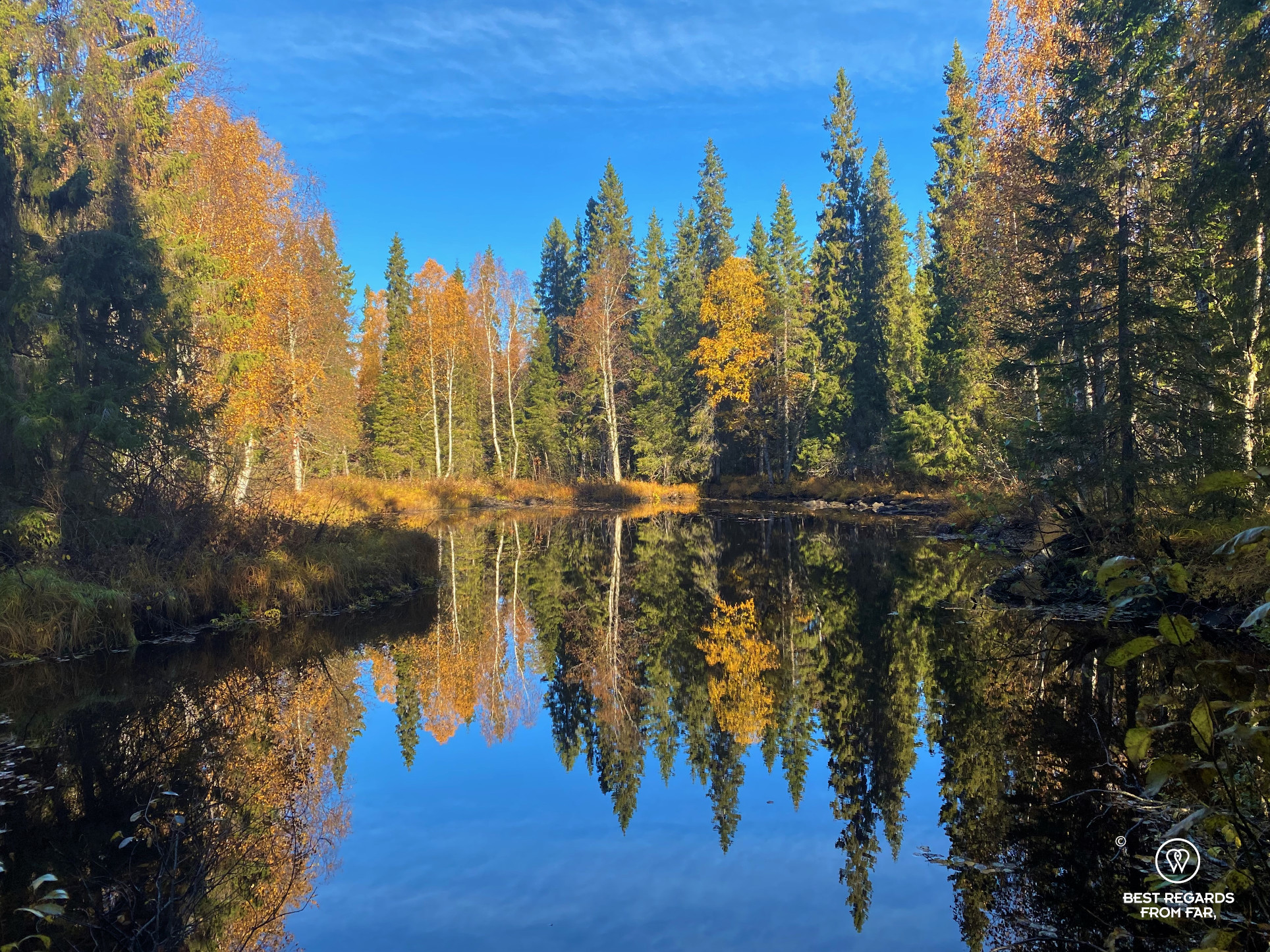 Fall colours of trees reflected in a lake at the Arctic Circle hiking area by Rovaniemi