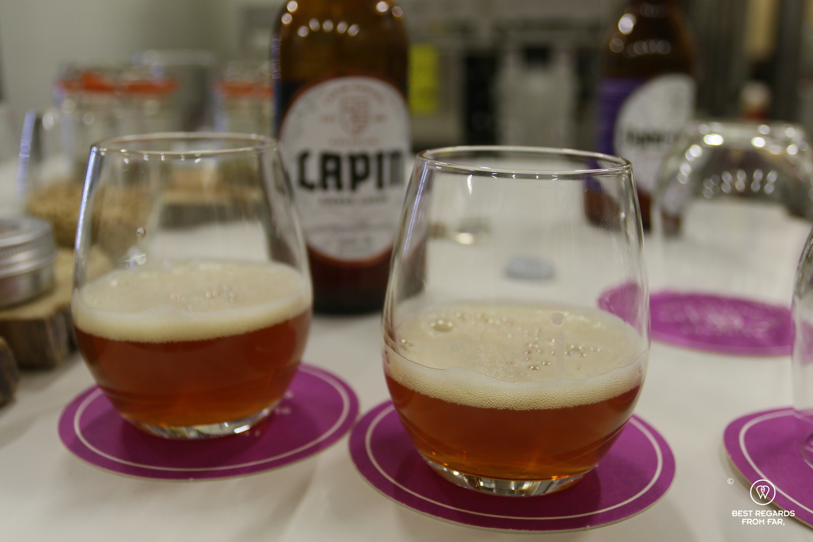 Beer tasting at Lapin Panimo, Rovaniemi