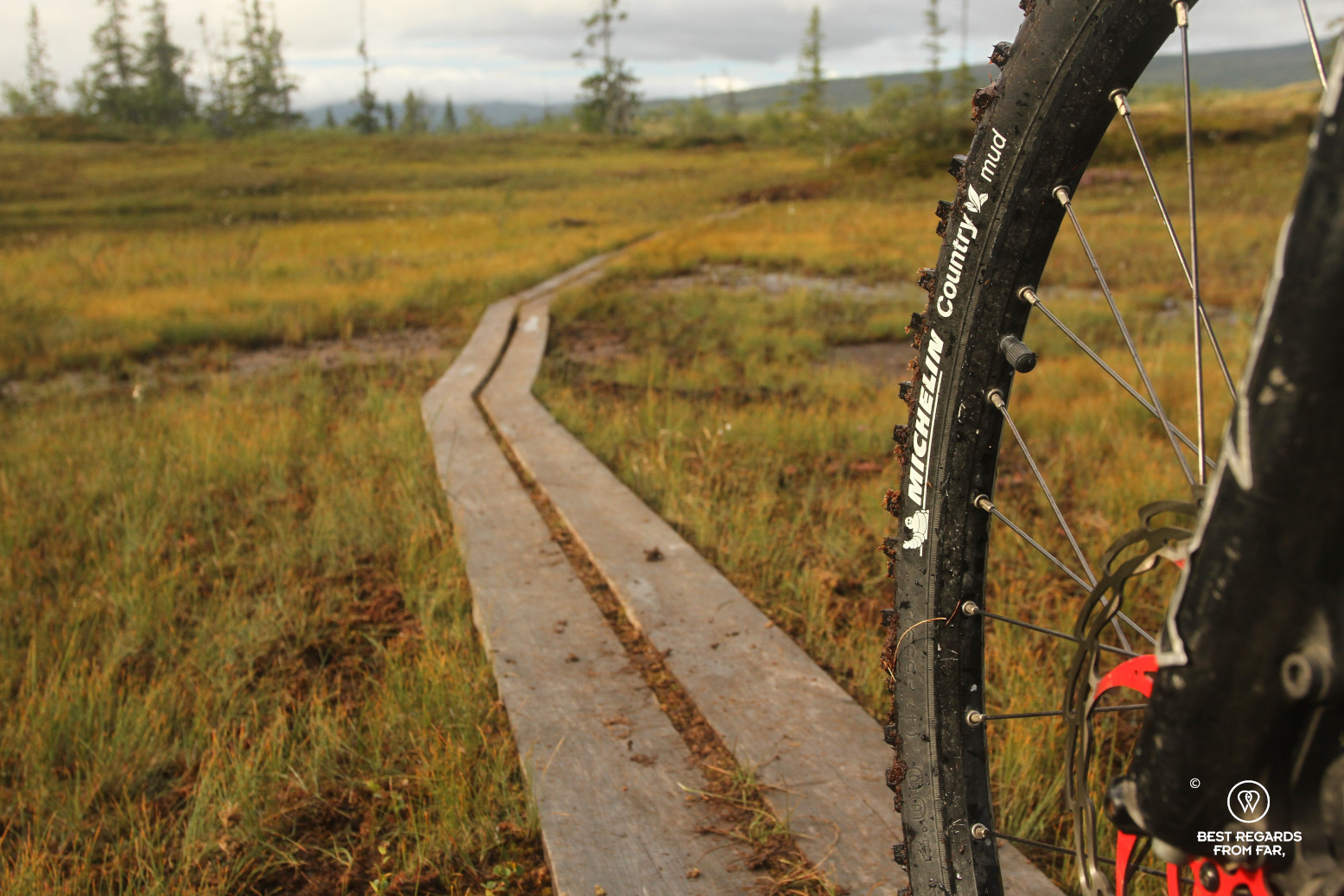 Mountain bike tyre on a narrow wooden path through marshes