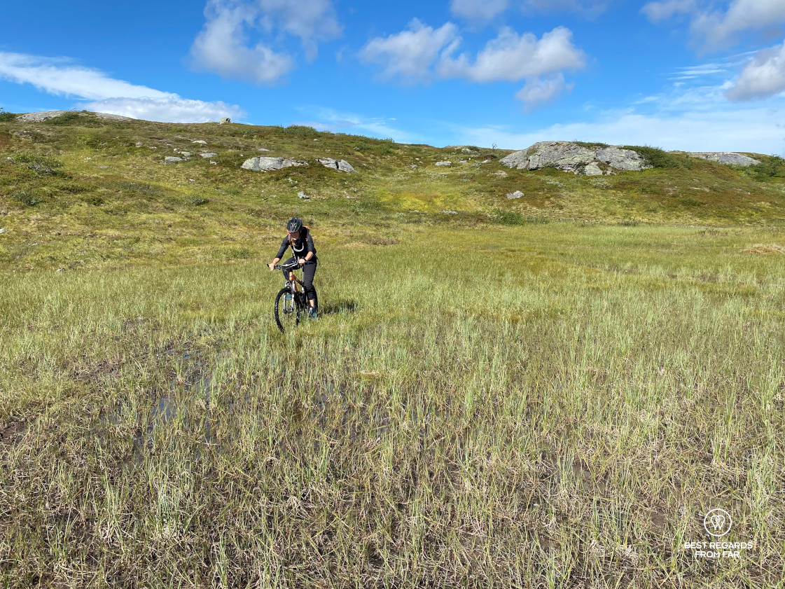 Sporty mountain biking through the Norwegian marshes