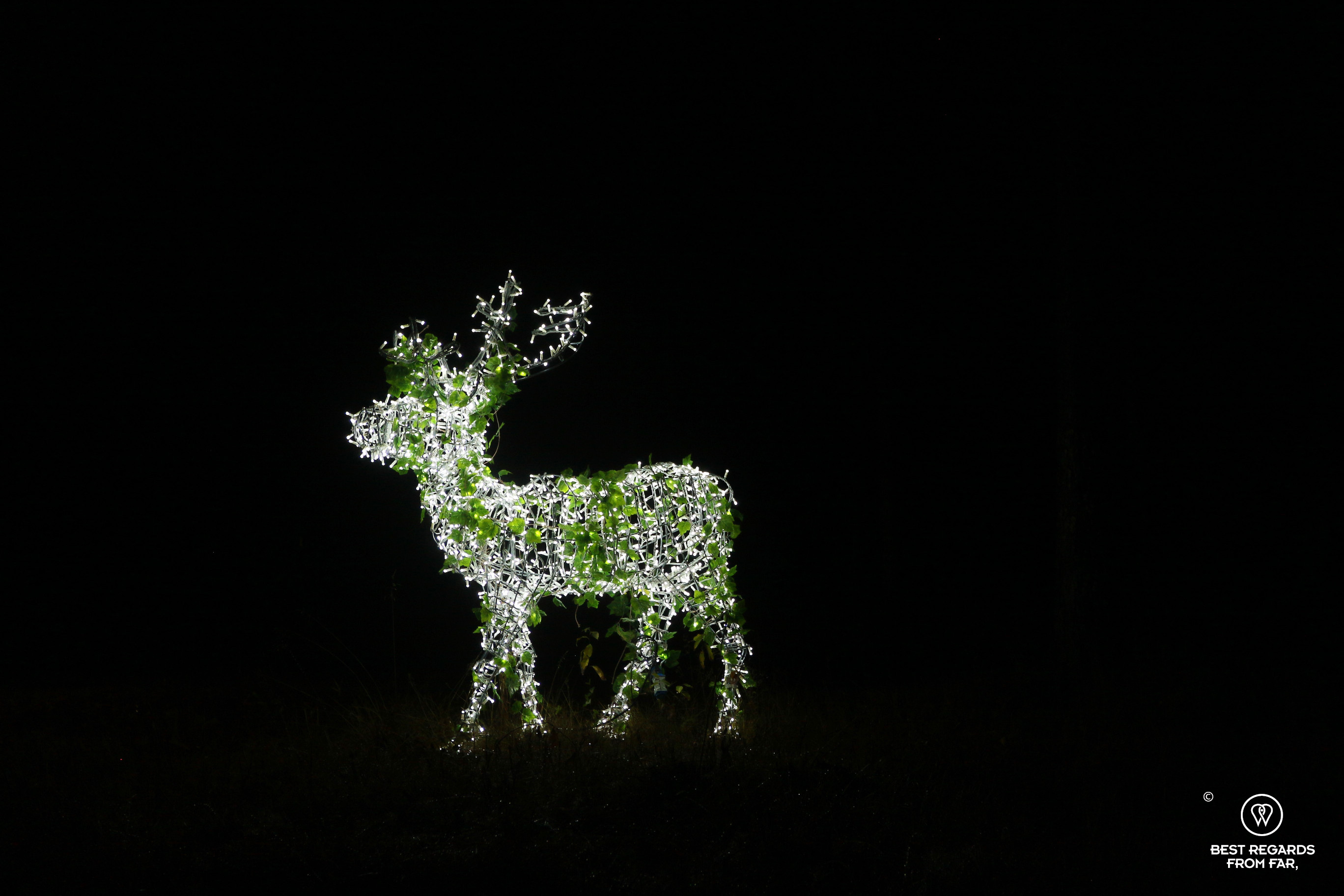 Santa Claus' Village lit reindeer in the night in Rovaniemi, Finland