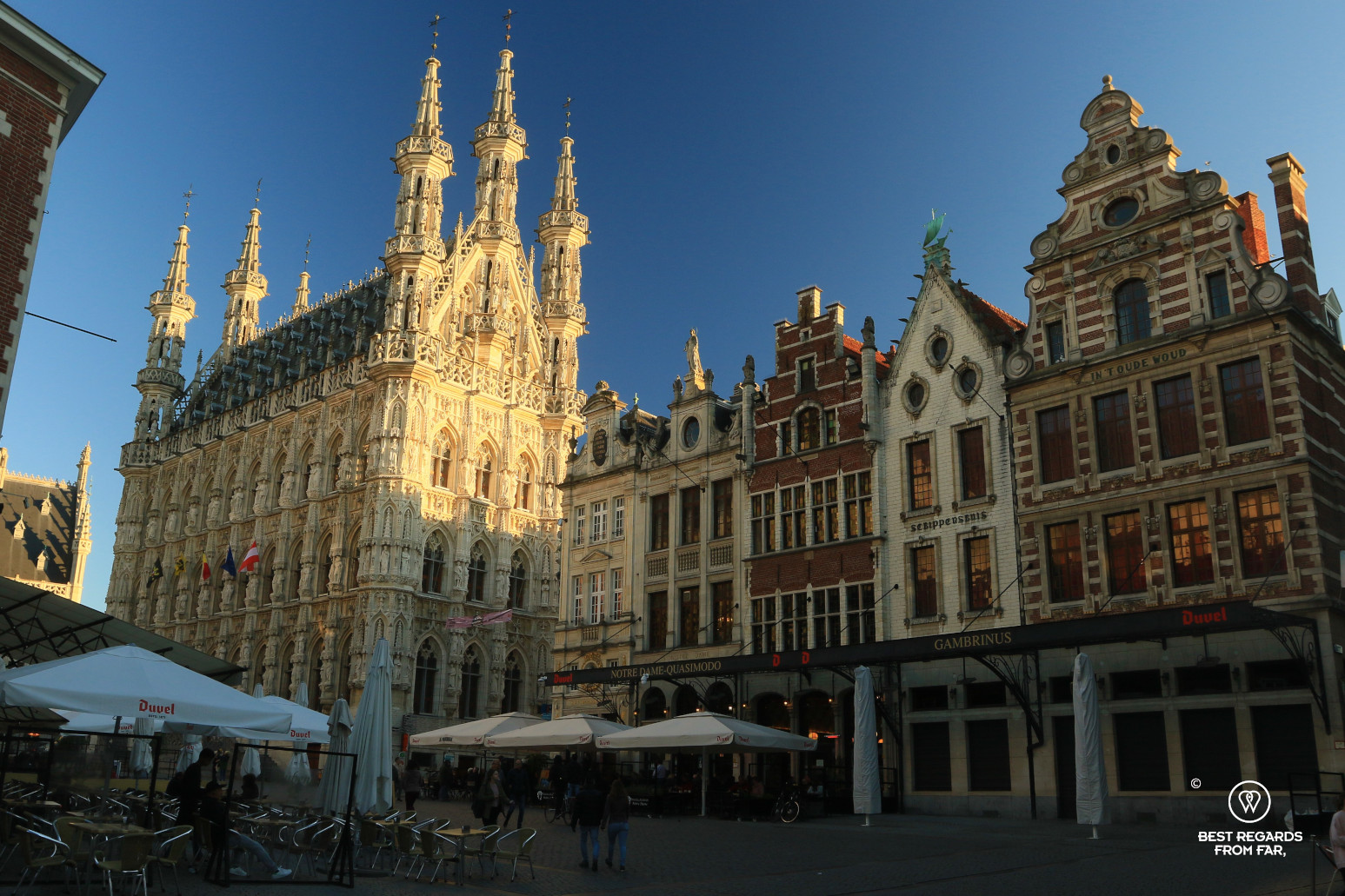 The City Hall of Leuven in the sun, Belgium
