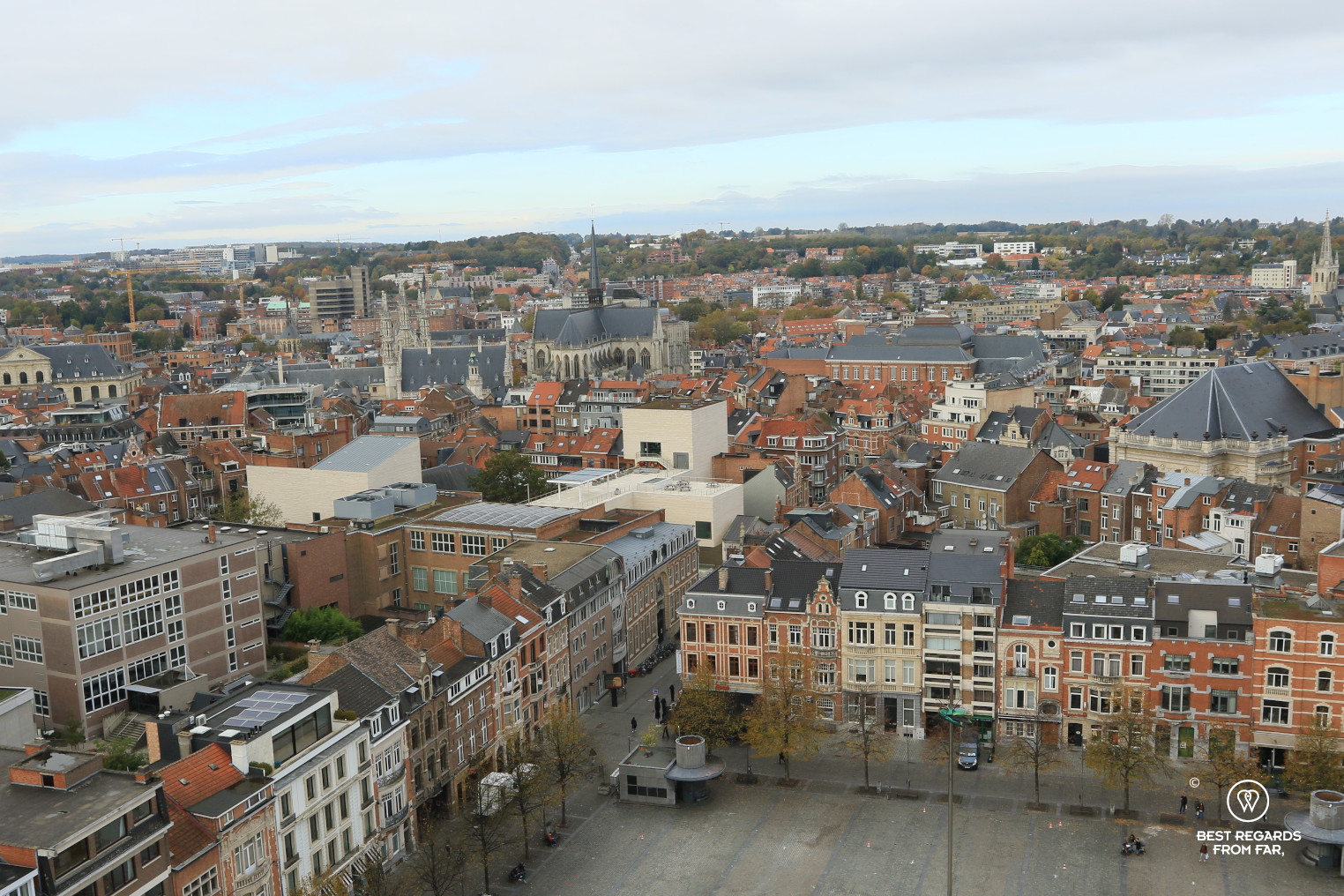 View on Leuven from the University Library Tower, Belgium