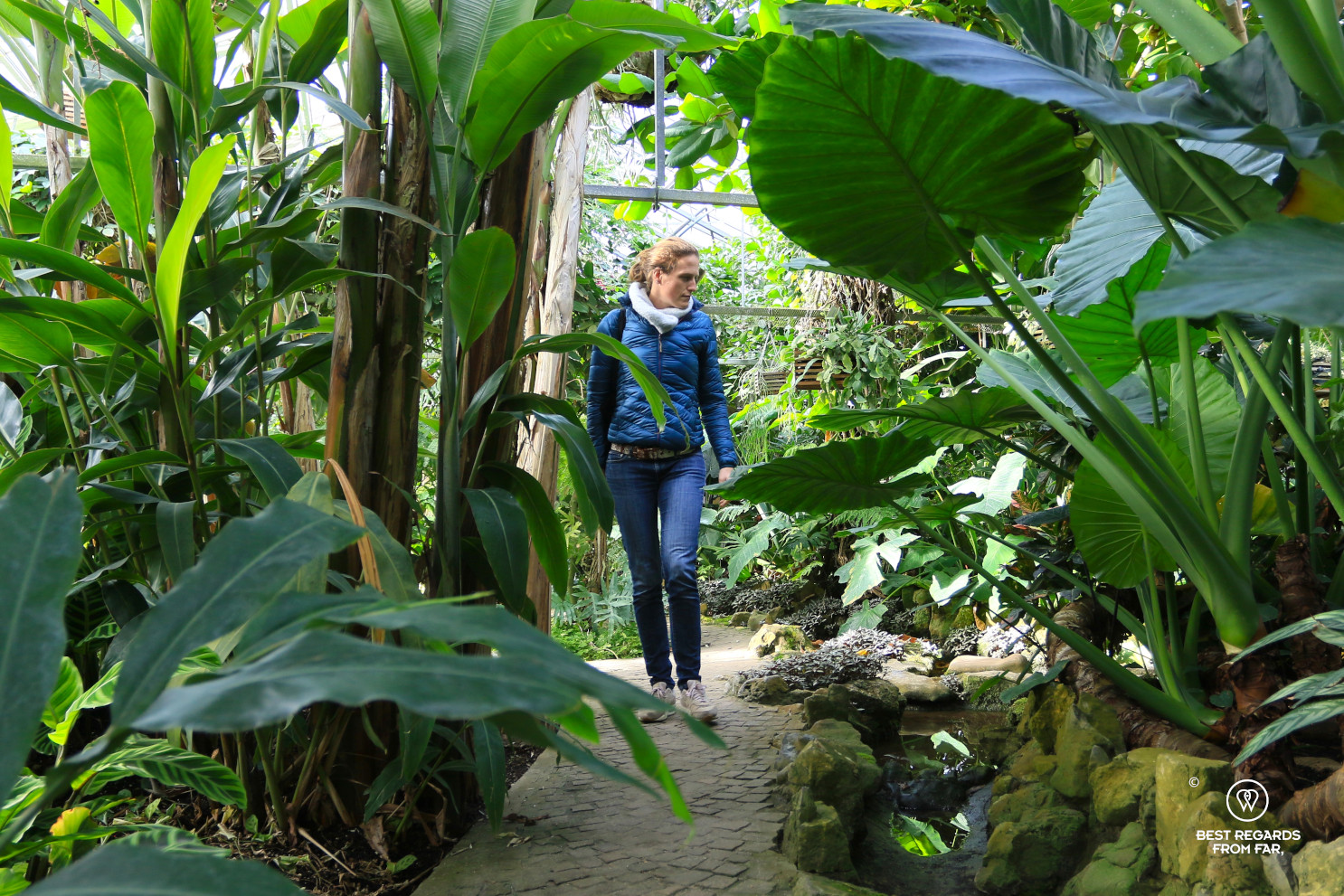 Author Marcella van Alphen walking the Leuven Botanical garden greenhouse