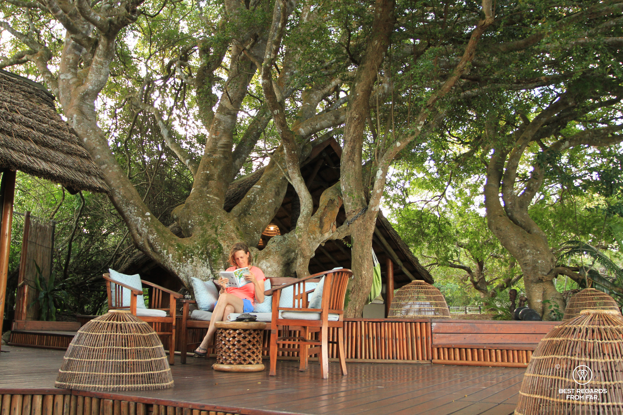Resting on the lounge area shaded by majestic trees at Isibindi Kosi Forest Lodge, Kosi Bay