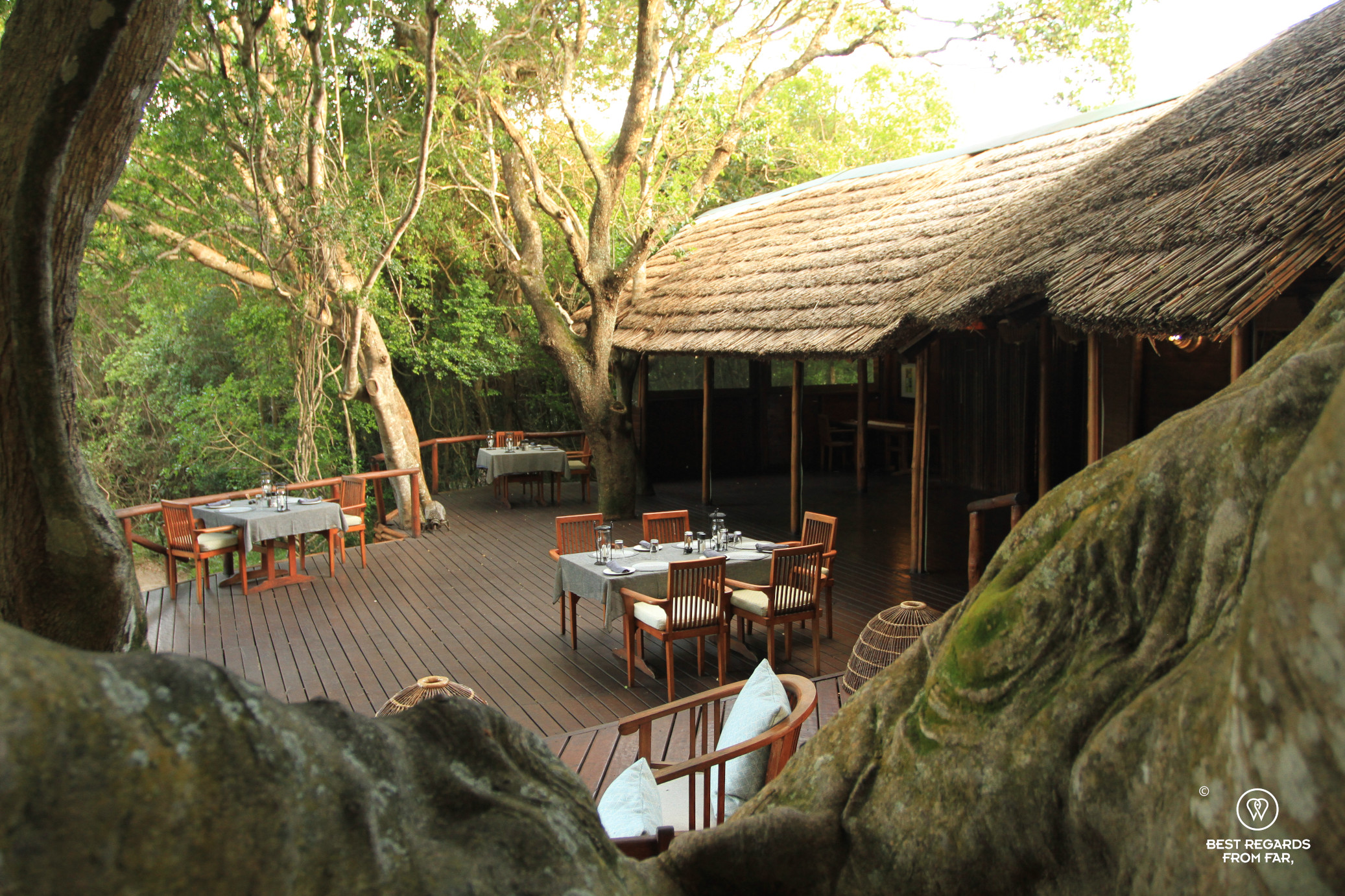 The restaurant area in the forest at Isibindi Kosi Forest Lodge, Kosi Bay