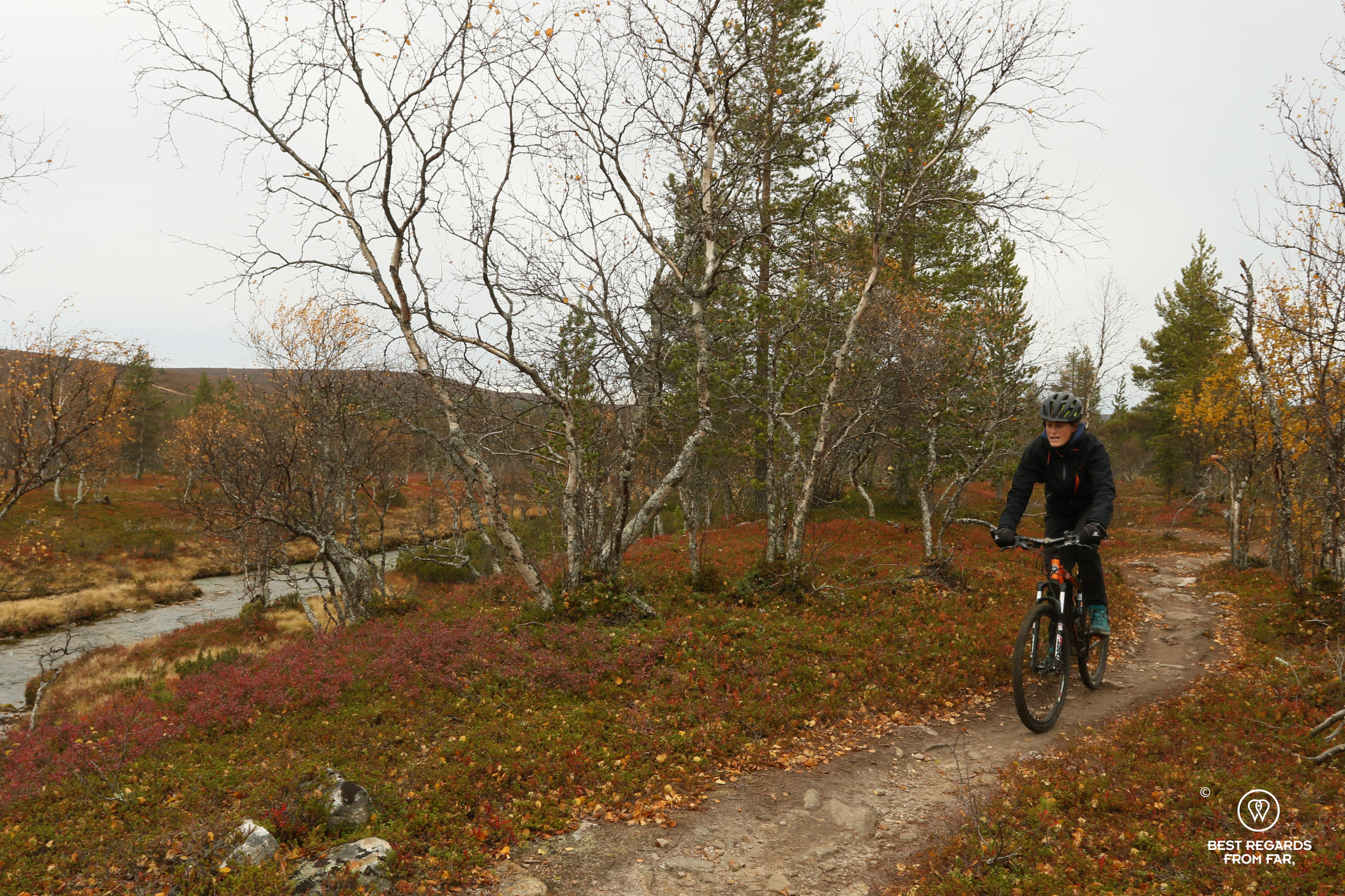 Mountain biking Lapland in the fall