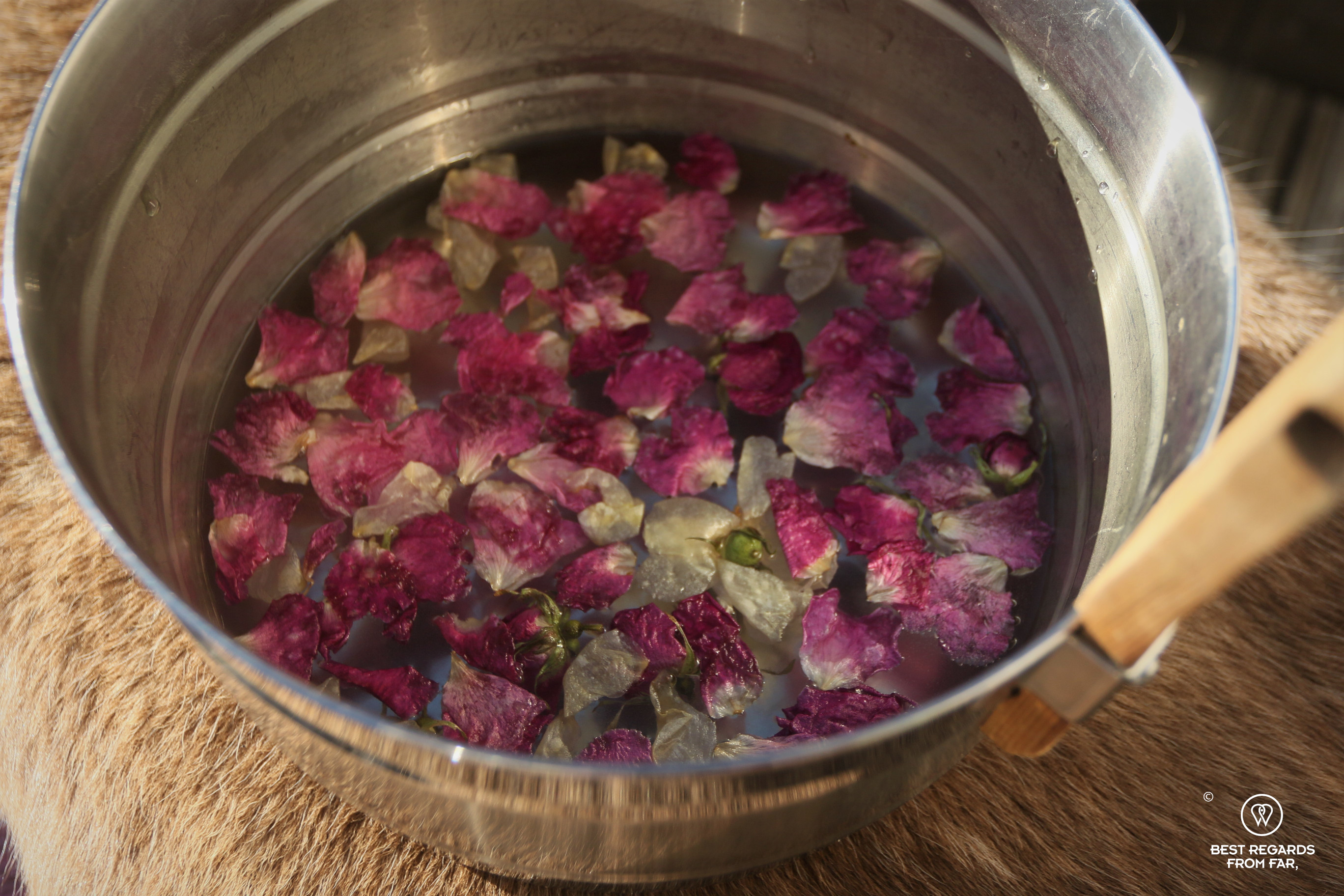 Rose petals in sauna water at Pohjolan Pirtti, Finland