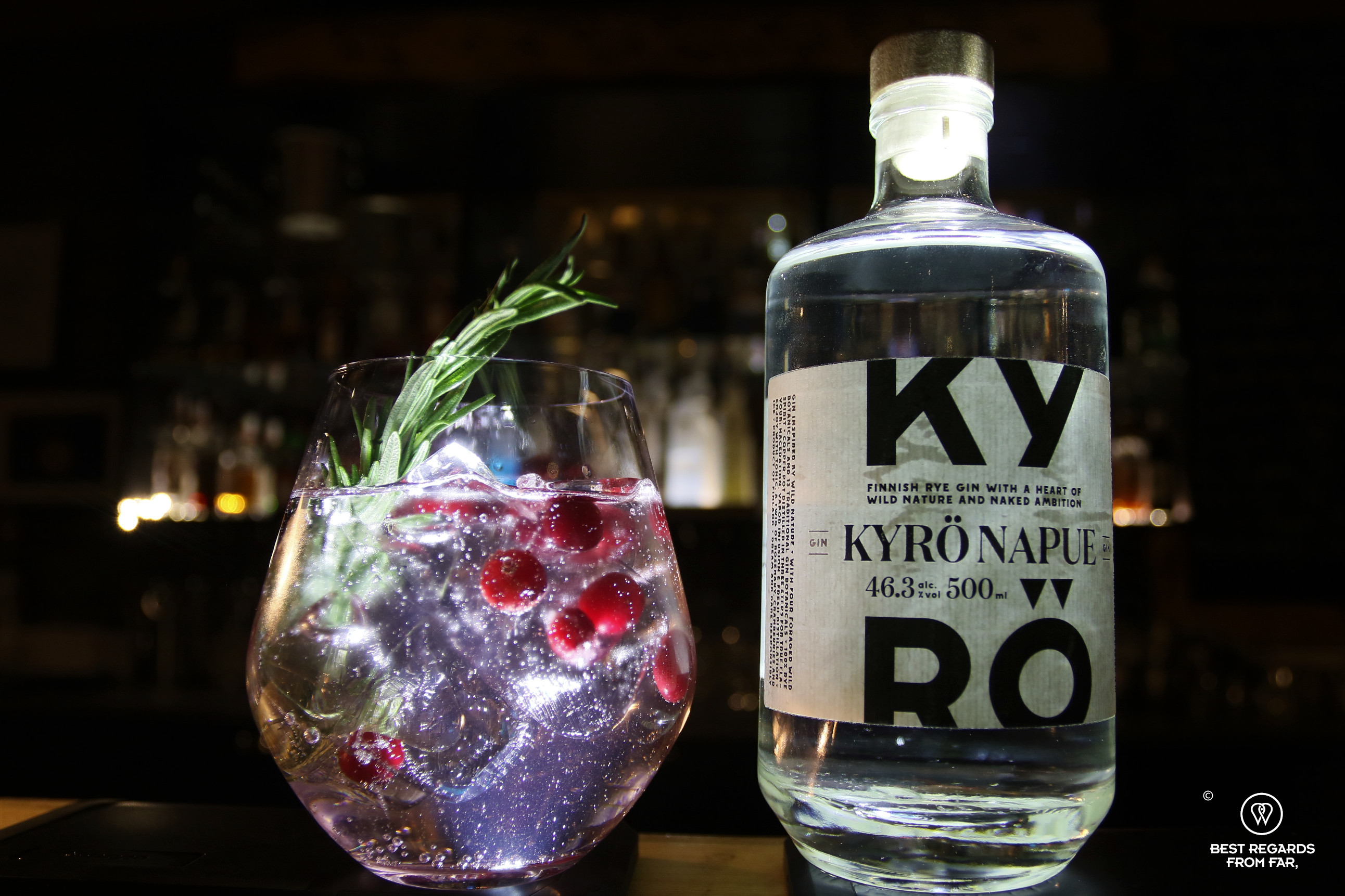 Lappish Gin and Tonic with wild berries at Wilderness Muotka Nellim