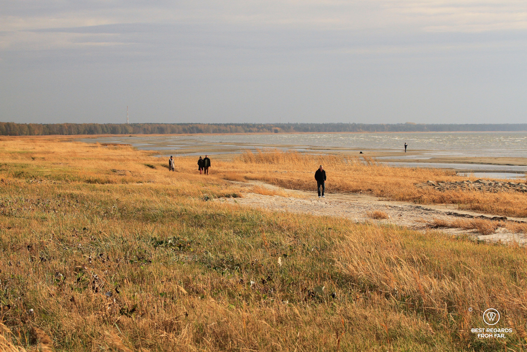 People walking along Pärnu Beach in Estonia