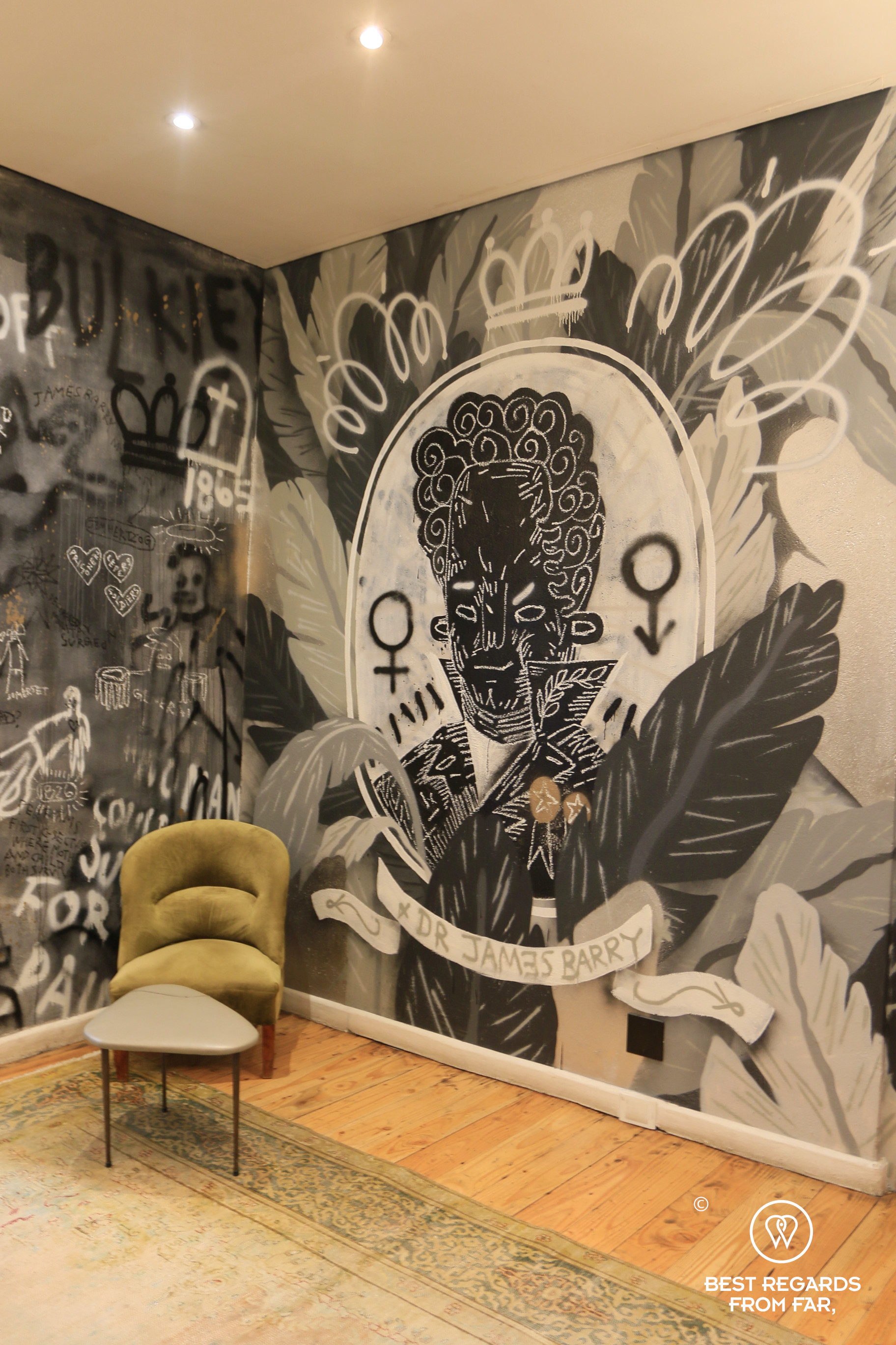 Dr. James Barry art at the roundhouse at Salsify, Cape Town