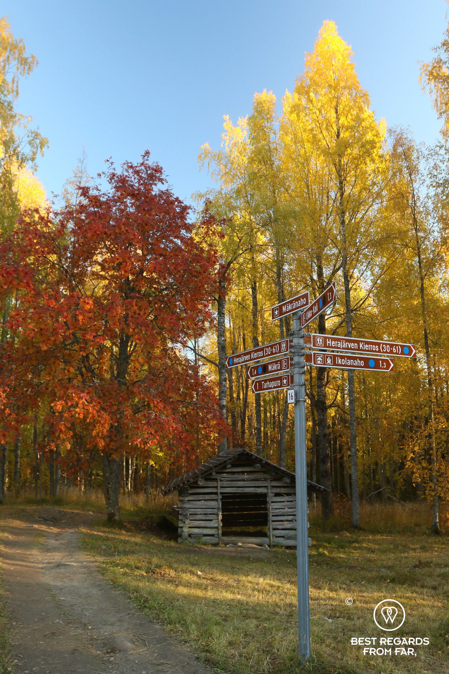 Koli National Park with beautiful yelloiw and red Fall colors, Finland