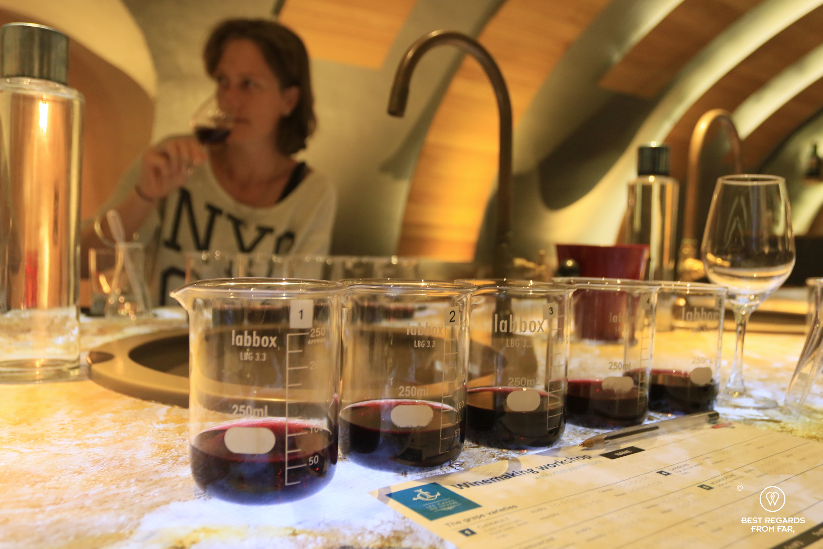 Winemaking workshop at Les Caves du Louvre, Paris