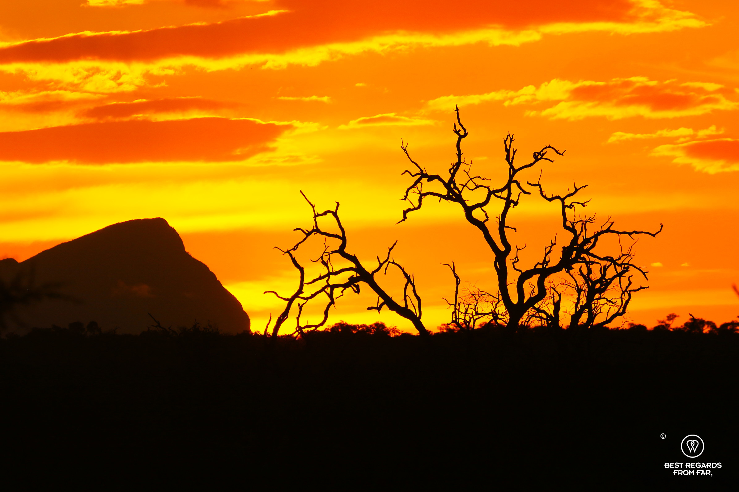 African sunsets on safari