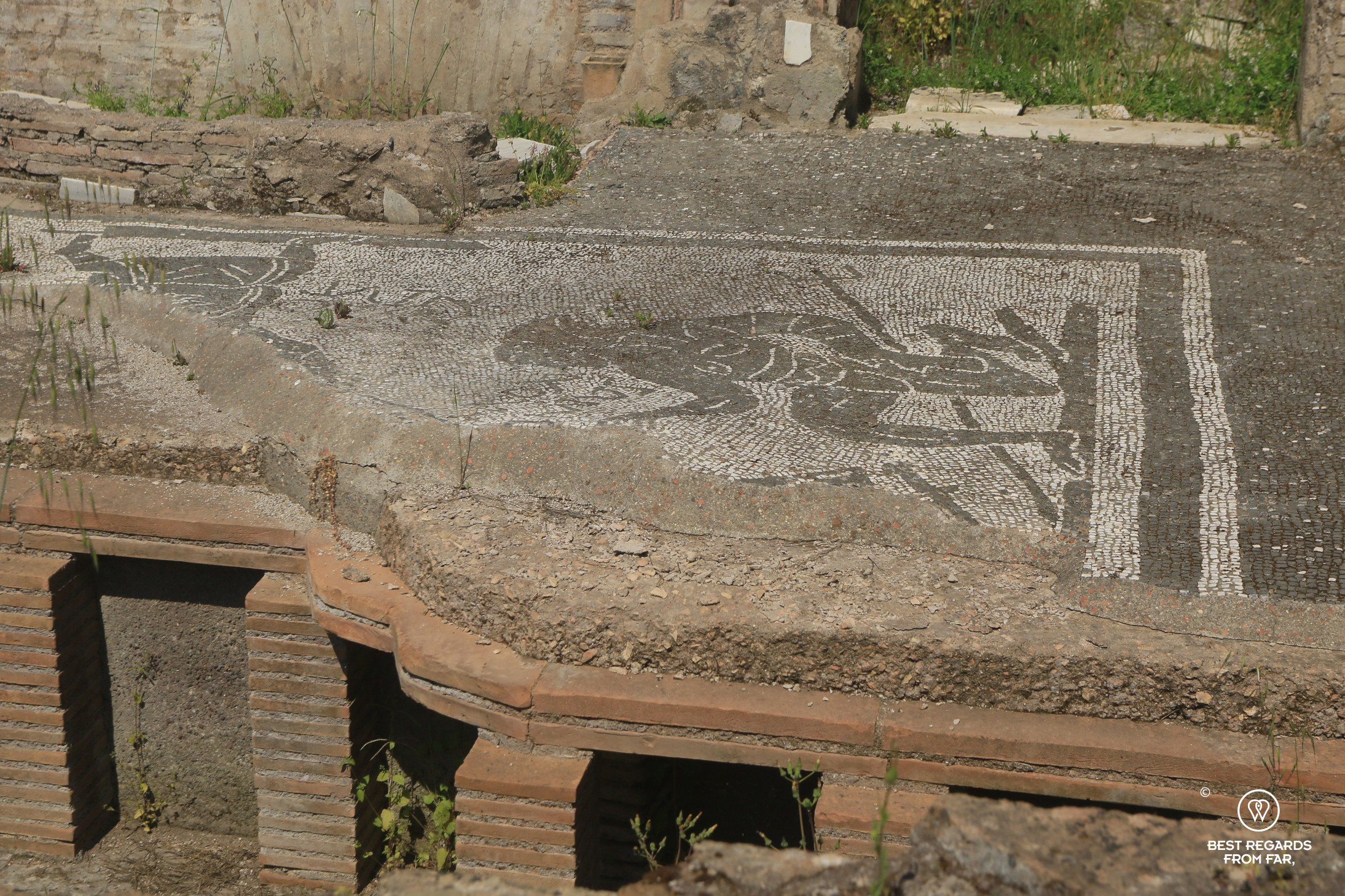 Mosaics of a gladiator at the Complesso di Santa Maria Nova, Rome