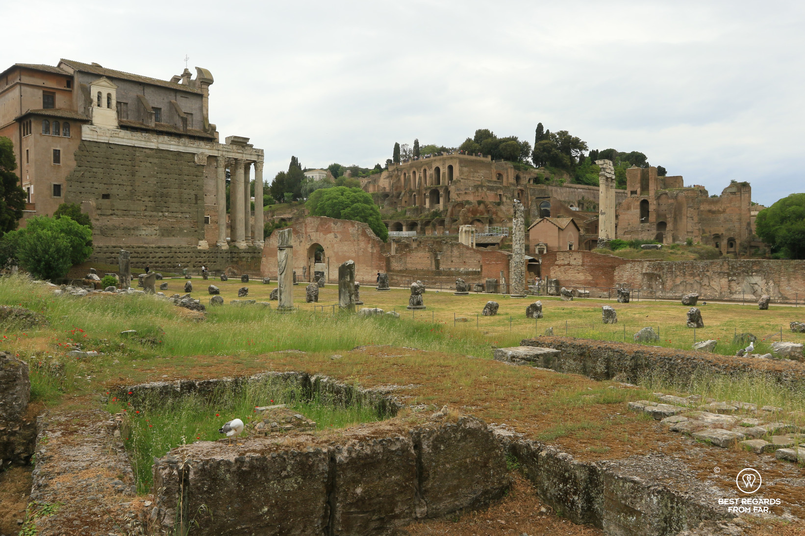 Roman Forum, Rome, Italy