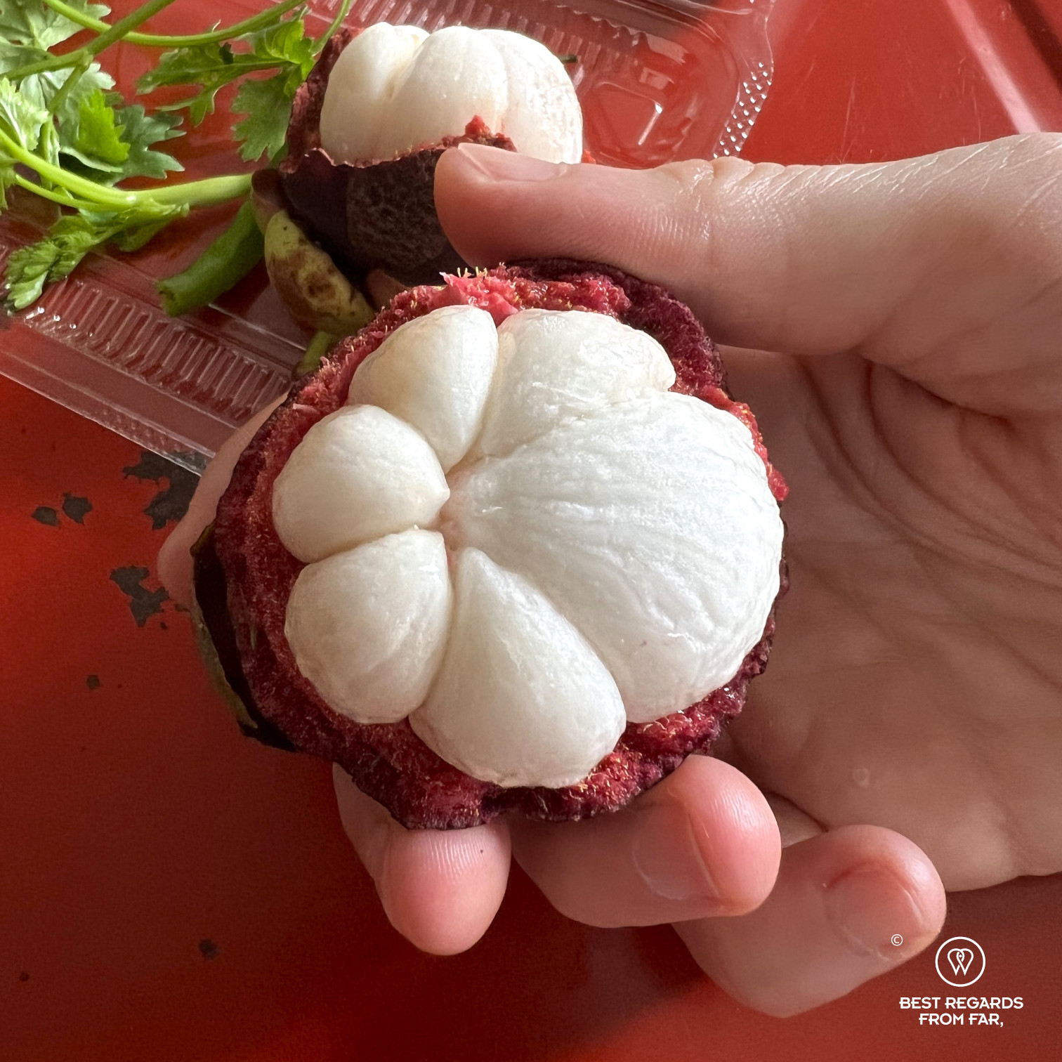White flesh of a mangosteen