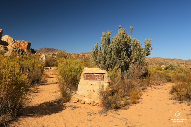 Along the Lot's Wife trail, Cederberg